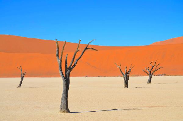 NAMIBIA - SPECIALE CAPODANNO